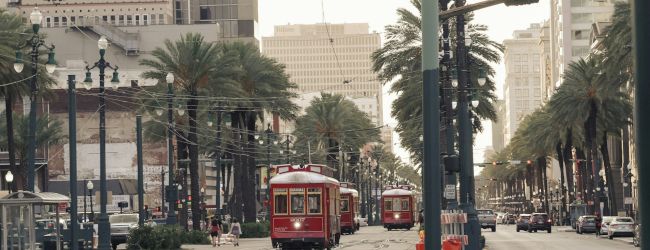 The image shows red streetcars on a city street lined with palm trees and tall buildings, with construction cones visible.